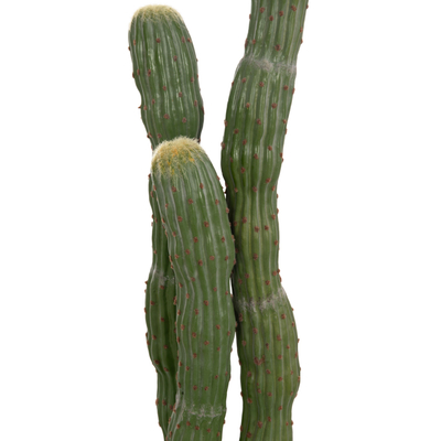 Bimë dekorative HomeMarkt Cactus, sintetike, 115cm, vazo e zezë