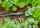 Lidhës ujitjeje Gardena Micro Drip, 4.6 mm 3/16", i zi