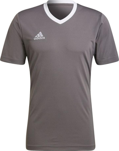 Fanellë stervitje adidas Entrada 22 M HE1574, me teknologji Aeroready, gri