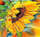 Set kreativ mozaik me diamant 5D Titanum Sunflower Flower, 40x30cm, shumëngjyrësh