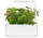 Click and Grow Smart Garden садници од диви јагоди