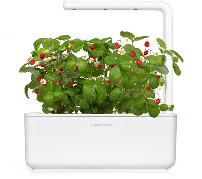 Click and Grow Smart Garden садници од диви јагоди