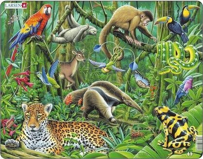 Puzzle kornizë Larsen FH10 The Lush South American Rainforest, 70 copa, shumëngjyrësh