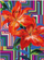 Честитка Matthew Williamson Floral Maze B6, со плик, повеќебојна