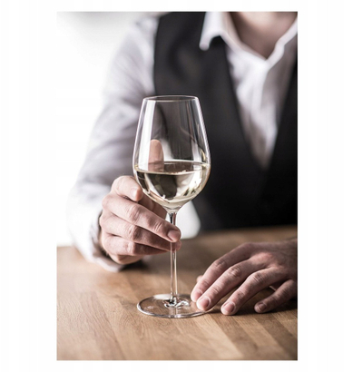 Gotë vere Zwiesel Glass Enoteca Chardonnay, 415 ml, 230 mm, transparente