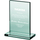 Trofe xhami VS Engraved, 15cm, me gdhendje, transparent