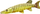 Jastëk Gaby Fish Pike Mini, 45cm