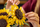 Set LEGO Botanicals Sunflowers, 686 copa, dekorativ, shumëngjyrësh