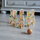 Loja bowling druri Classic World Wooden Bowling Game, 6 copa, me top