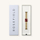 Orë dore për goca Rosefield Octagon XS Burgundy Sunray Steel Gold OBGSG-O83