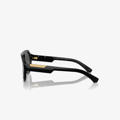 Dolce & Gabbana DG4466 501/87 56