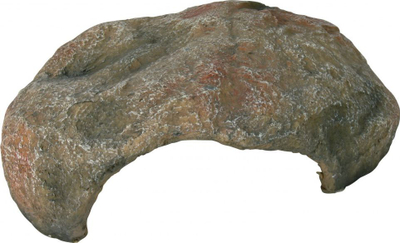 Shtëpi për zvarranikë Trixie, 30 × 10 × 25 cm, e kaftë