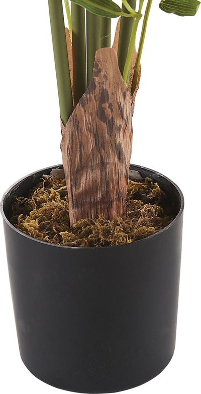 Bimë artificiale Beliani Bambusa Vulgaris, 100 cm, në vazo, jeshile