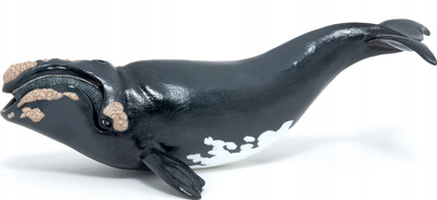 Figurinë balenë PAPO Right Whale, plastike, shumëngjyrëshe