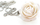 Qafore Troli White flower