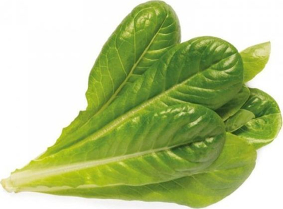 Kapsula bimore Click and Grow Plant Pods, për barishte dhe sallata, për sistemet Click and Grow, jeshile