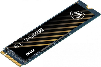 Disk MSI Spatium M3900, M.2, 1 TB