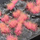 Tufa bari dekorative Gamers Grass Special Tufts, 6 mm, rozë Alien