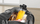 Blender Bosch MMB6174S, 1200W, kana xhami, gri e zezë