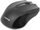 Maus Omega OM-05B, i zi