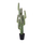 Lule artificiale Verde Decor Cactus Euphorbia, 153cm