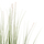 Bimë sintetike Bristlegrass në vazo (HM4017)