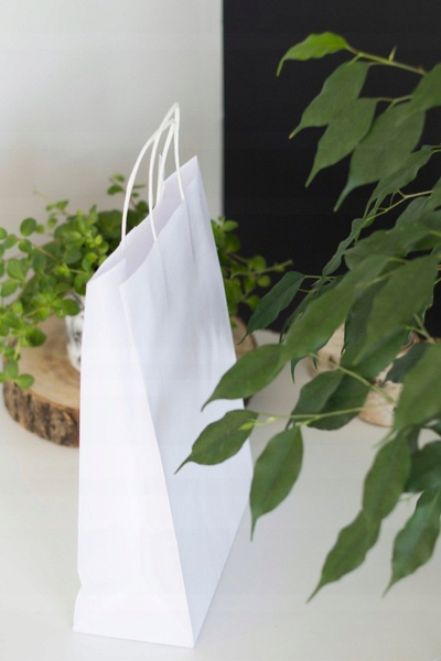 Qese letre NC Envelopes PAPER BAG, 24 x 10 x 32 cm, 100 g/m², të bardha