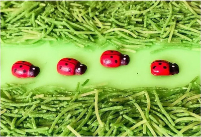Lodër ndijore Petit Boum Ladybirds, shishe senzoriale, 3m+, transparente