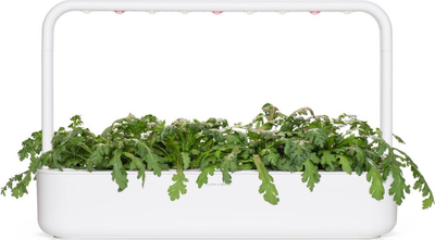 Farat Click and Grow Shungiku, set 3 copë, për Smart Garden, jeshile