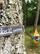 Rrypa varëse ENO Helios XL Ultralight, Silverlite, gjatësie të zgjatur, gri