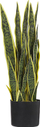 Bimë artificiale dekorative Snake Plant, 63 cm, me vazo, e gjelbër
