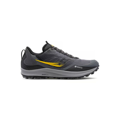 Atlete Per Meshkuj Saucony Peregrine 12 GTX