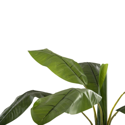 Bimë sintetike Pema Banane 180cm (HM7979)