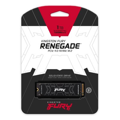 SSD M.2 Kingston FURY Renegade, 1TB, NVMe PCIe 4.0, i zi