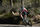 Helmetë për në rrugë Giro Aries Spherical MIPS, madhësia L 59-63 cm, MIPS, ngjyrë blu matte