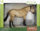 Фигурина-играчка Collecta Lusitano Mare Deluxe, модел Buttermilk Buckskin