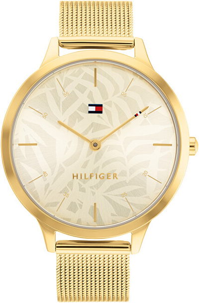 Orë dore Tommy Hilfiger Samantha 1782494