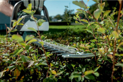 Gërshërë gardhi Metabo AHS 18-65 V, 18V, 65cm, pa bateri