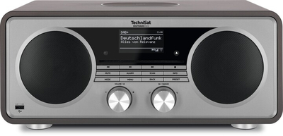 Radio TechniSat DigitRadio 602, hiri / argjendtë