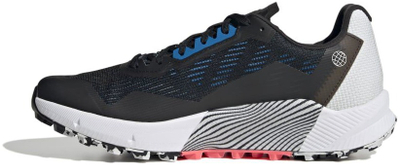 Atlete për meshkuj Adidas Terrex Agravic Flow 2 Gtx, nr. 43 1/3