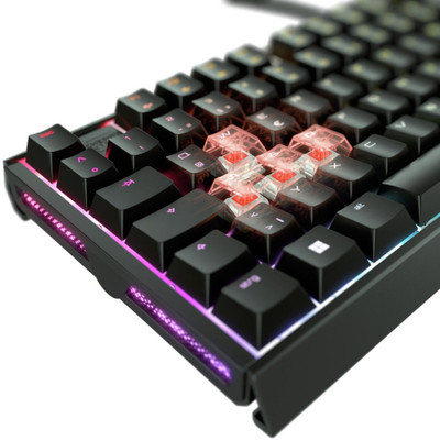 Tastierë Cherry XTRFY MX 3.1, RGB, e zezë