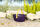 Set aksesorësh për kuklla BABY born Weekend Fishing, për 36cm dhe 43cm, me karrige edhe fustan, rozë