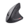 Maus Trust Verto Wireless, i zi