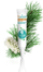Гел за усни Puressentiel SOS Lip Repair, 5 ml, смирувачки, проѕирен