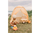 Set Lodra Plazhi Wild Animals
