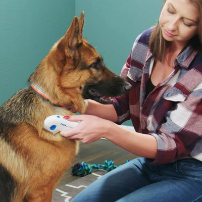 Krehër elektrik kundër pleshtave PUPPY, i bardhë