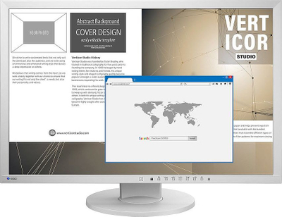 Monitor Eizo FlexScan EV2430-GY, 24.1", 1920x1200, gri