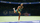 Loja Xbox Tiebreak Ace Edition, ATP WTA, Xbox Series X