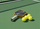 Set pickleball ZOODO P10 Titan Carbon, 2 raketa, 4 topa, i zi