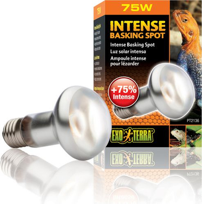 Exo Terra Intense Basking Spot Lamp, 75 W